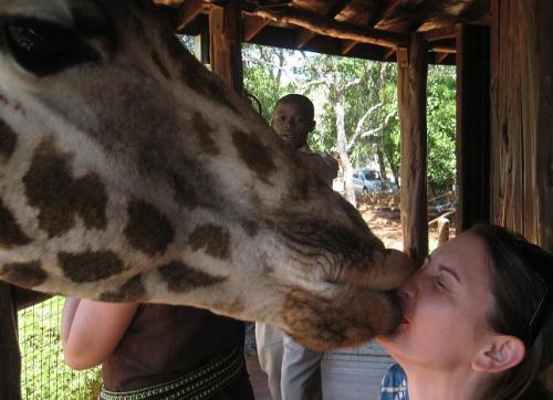Please do not make out with our giraffes!